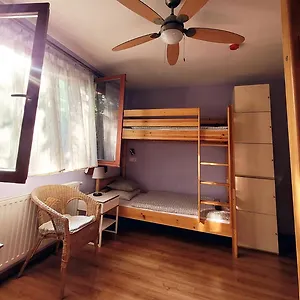 Hostel Shantee House